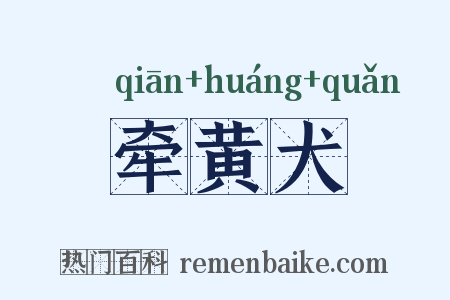 牵黄犬是什么意思的图片